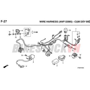 F-27_CỤM DÂY DIỆN